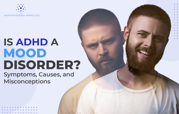 is adhd a mood disorder
